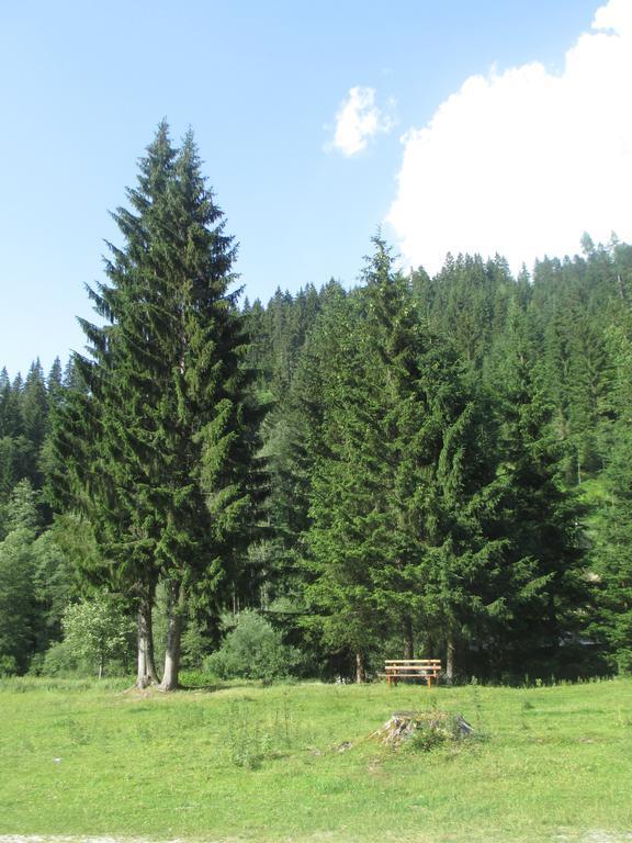 Ferienhaus Schwarzenbacher Lungötz Oda fotoğraf